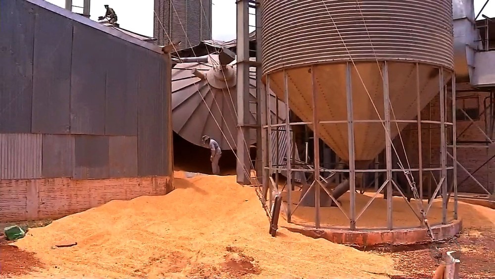 Homem morre soterrado por 150 toneladas de milho após desabamento de paredes de silo