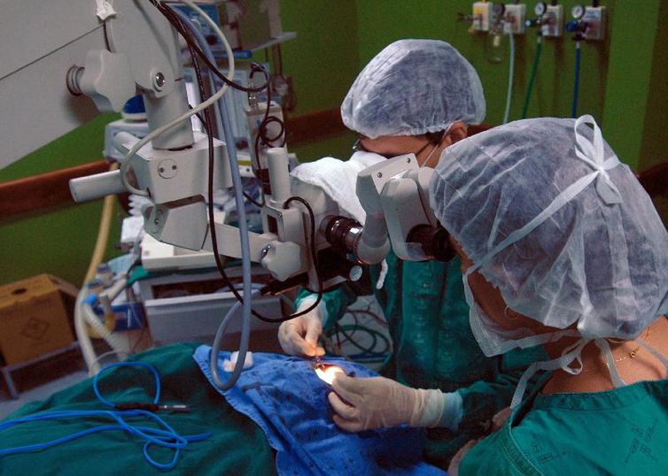 Primeiro transplante do Brasil completa 50 anos