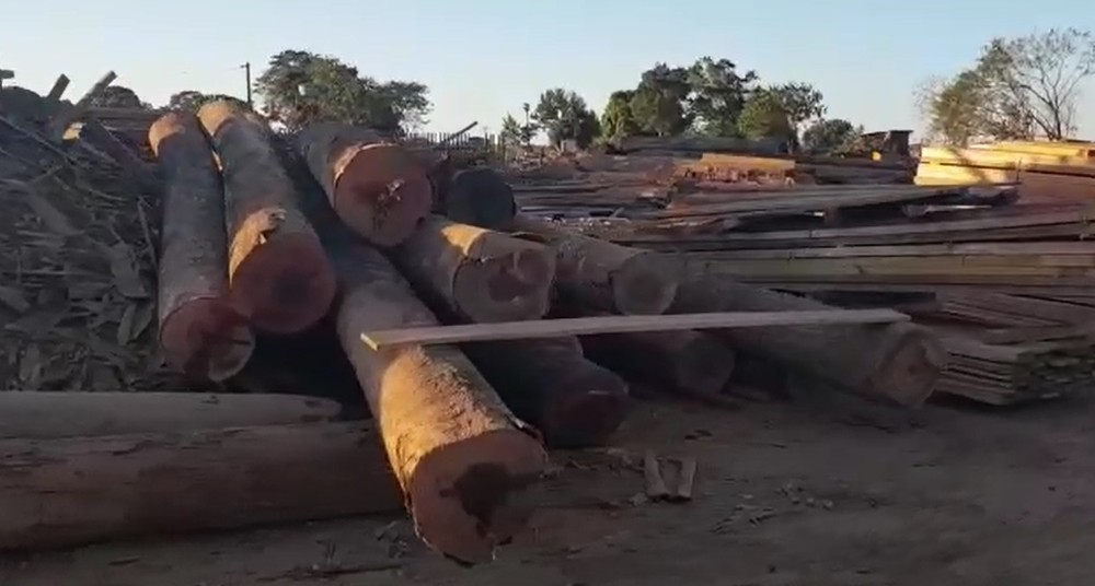 Operação do Ibama em MT apreende 240 toras de madeira de origem ilegal