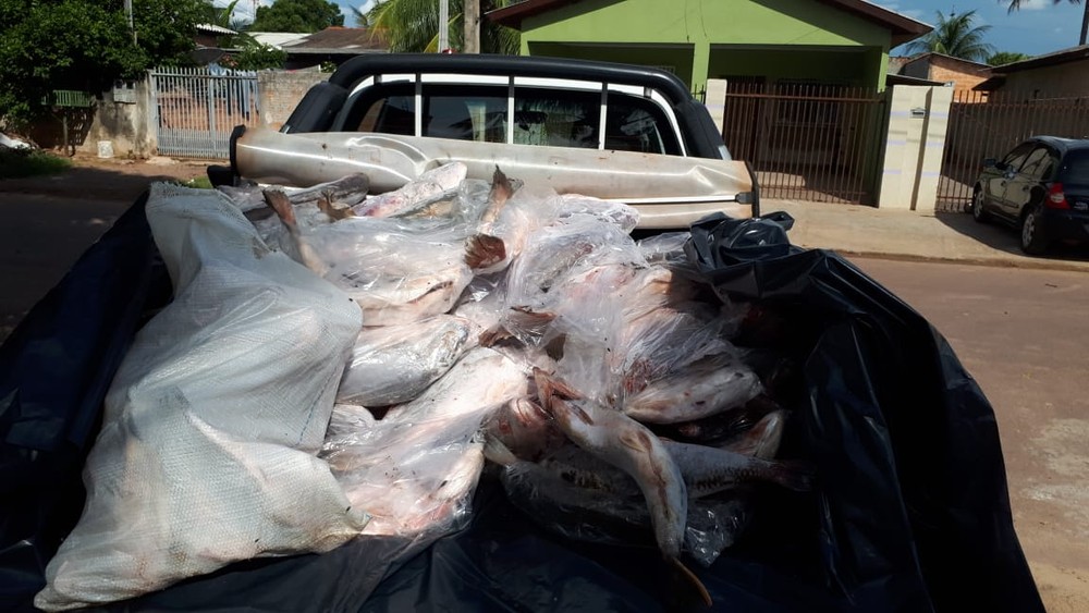 Fiscais apreendem mais de 400 kg de pescado irregular em Mato Grosso