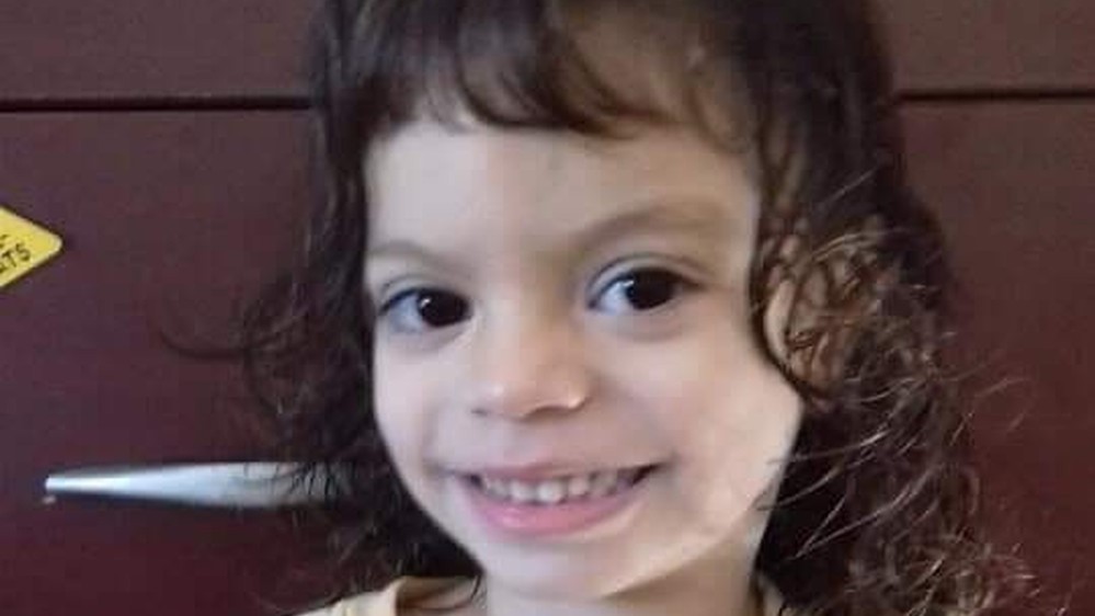 Menina de 4 anos morre após ser picada por escorpião escondido em moletom no interior de SP