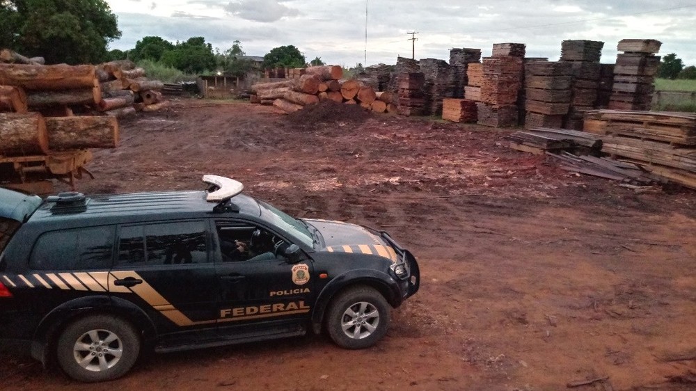 Empresas suspeitas de extração ilegal de madeira são alvos de operação da PF e Ibama