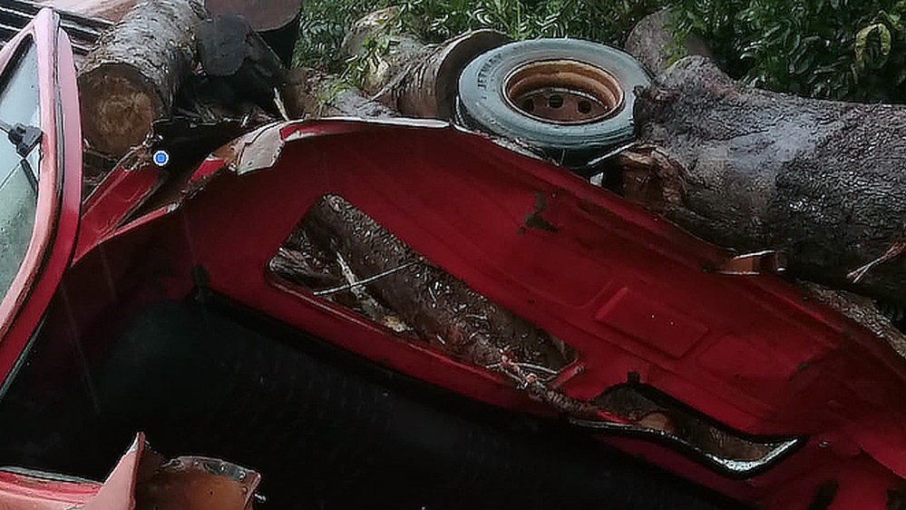 Motorista morre esmagado por toras em acidente com caminhão e dono do veículo é detido por transporte ilegal de madeira em MT
