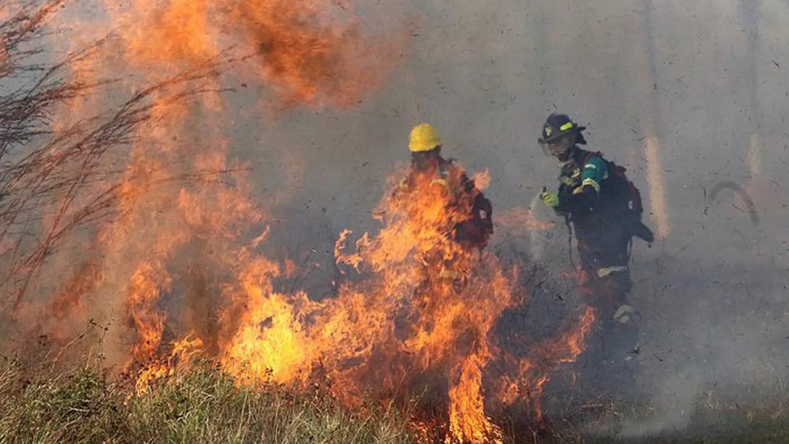Incêndio destrói 500 mil hectares de vegetação na Bolívia e abala campanha de Evo Morales