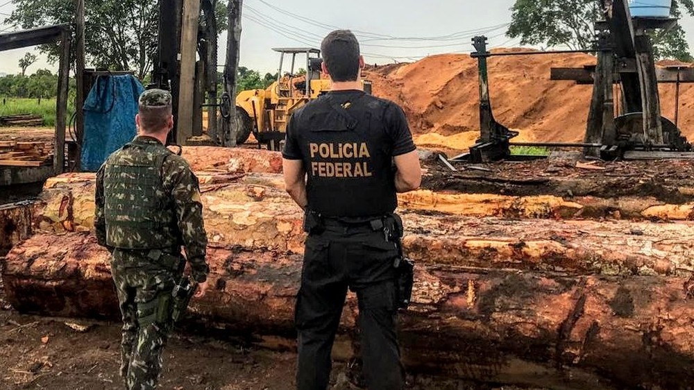 Índios e madeireiros são alvos de operação da PF que apura extração ilegal de madeira em terra indígena de MT