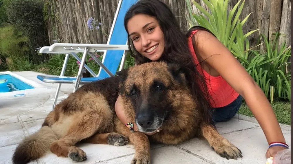 Argentina tira foto com cachorro, toma mordida e publica imagens