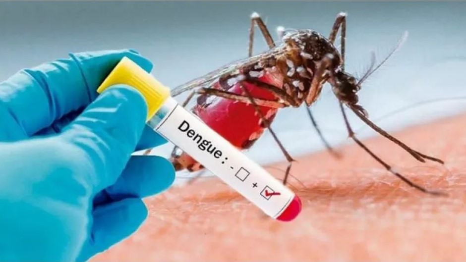 Casos de dengue em MT aumentam mais de 300% em relação a 2019; 5 pessoas morreram