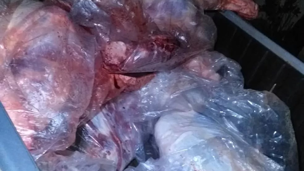 Mais de 800 kg de carne transportada irregularmente são apreendidos em MT