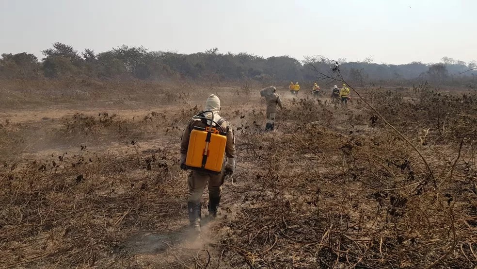 Com 5 frente de trabalho, bombeiros ainda encontram dificuldades para combater incêndio no Pantanal de MT