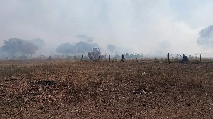 Incêndio que começou há 10 dias já atingiu 40 mil hectares no Pantanal de Mato Grosso
