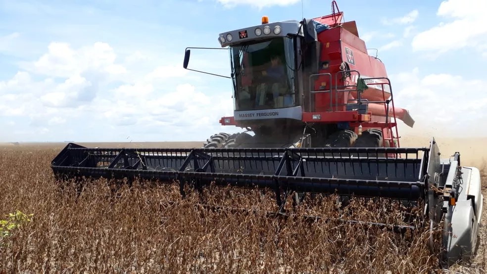 Apetite chinês faz exportação de soja crescer 33% e impulsa agronegócio