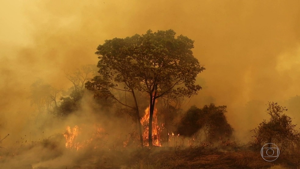 Temperatura chega a 43ºC no Pantanal de MT e calor e tempo seco ajudam na propagação de fogo subterrâneo