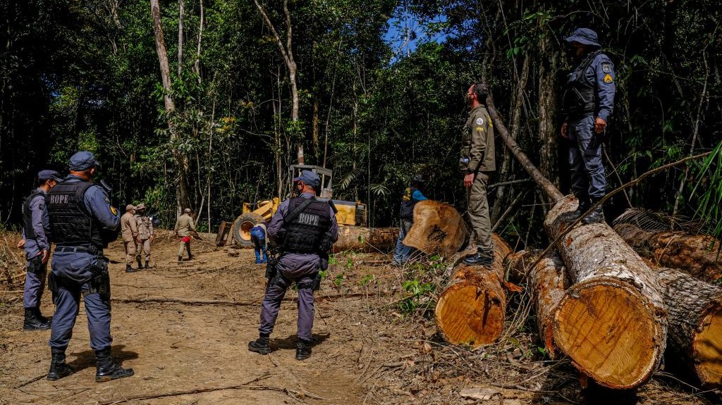 Sema lança plataforma de acesso público aos alertas de desmatamento