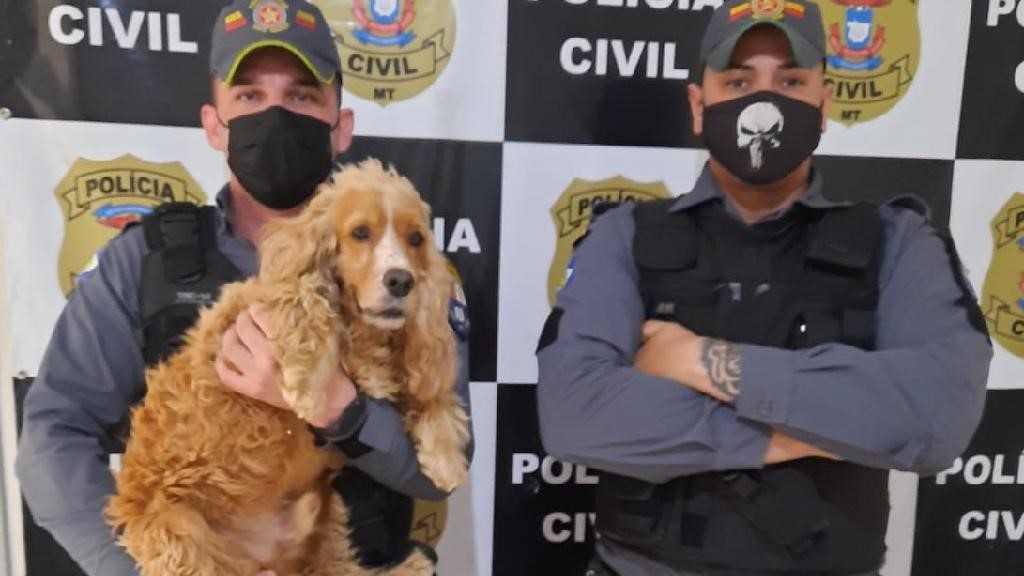 Policiais recuperam cão furtado de família em Guarantã do Norte