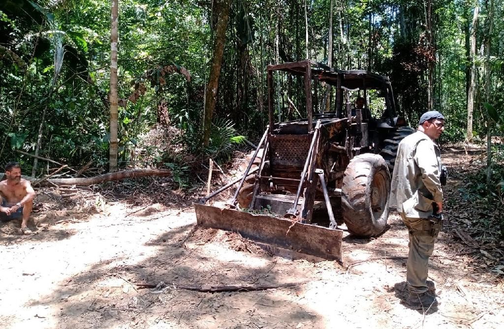Sema impede extração ilegal de madeira e apreende máquinas em Área de Proteção Integral