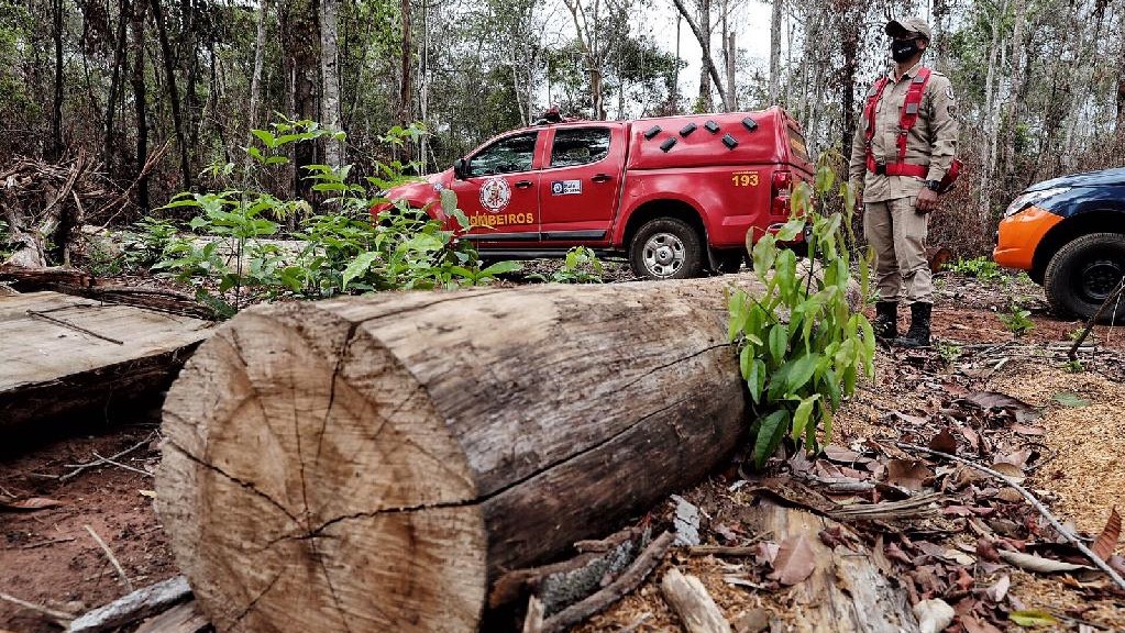 Corpo de Bombeiros deflagra operação para combater o desmatamento ilegal em seis municípios de MT