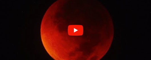 'Lua de sangue': Eclipe encanta observadores na madrugada; veja