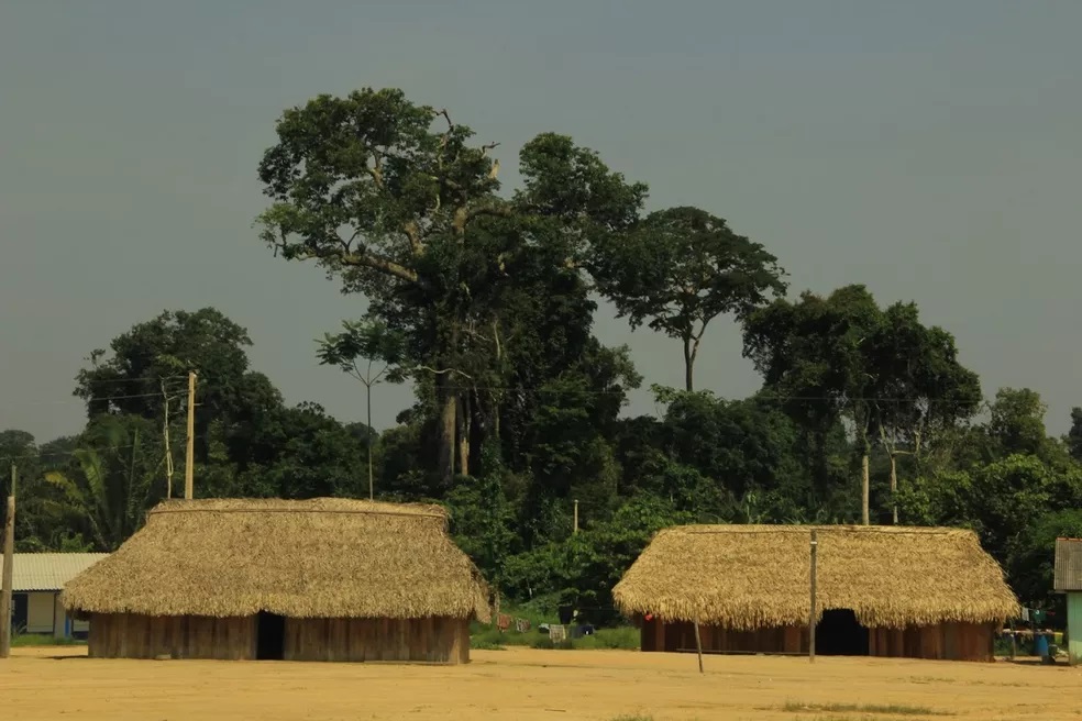 Federação diz que PF foi à terra indígena no Pará em que garimpeiros teriam sido detidos