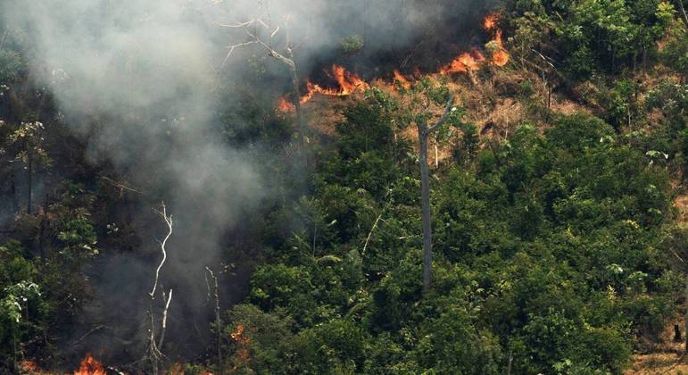 Amazônia registra maior número de focos de incêndio em junho em 15 anos