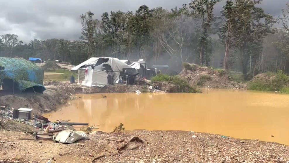 Forças de segurança fazem operação para desarticular área de garimpo ilegal em terra indígena no Mato Grosso
