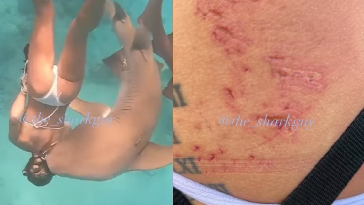 Mulher é atacada por tubarão durante ensaio fotográfico; veja vídeo