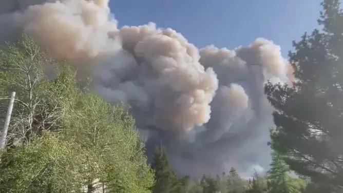 Florestas americanas estão queimando