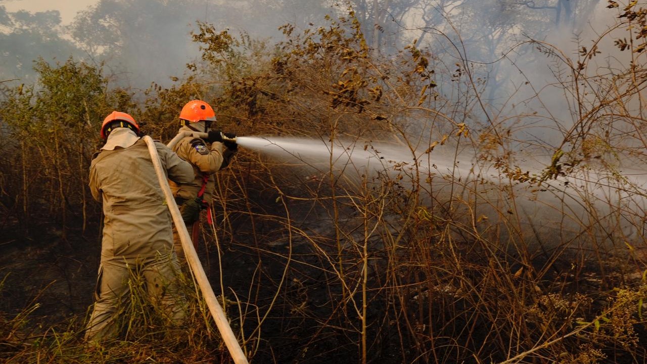 Período proibitivo de uso de fogo em áreas rurais começa neste sábado (1º)