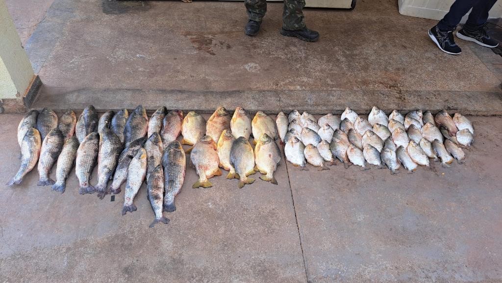 Sema-MT e Polícias Militar e Civil apreendem pescado ilegal em fiscalização na piracema