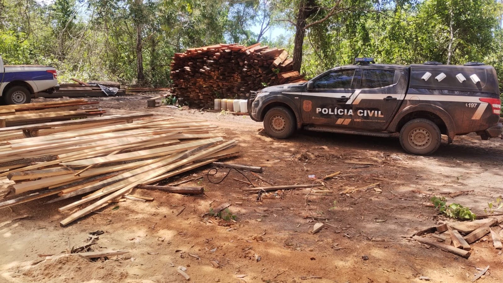 Operação conjunta desmantela esquema de extração ilegal de madeira em São Félix do Araguaia