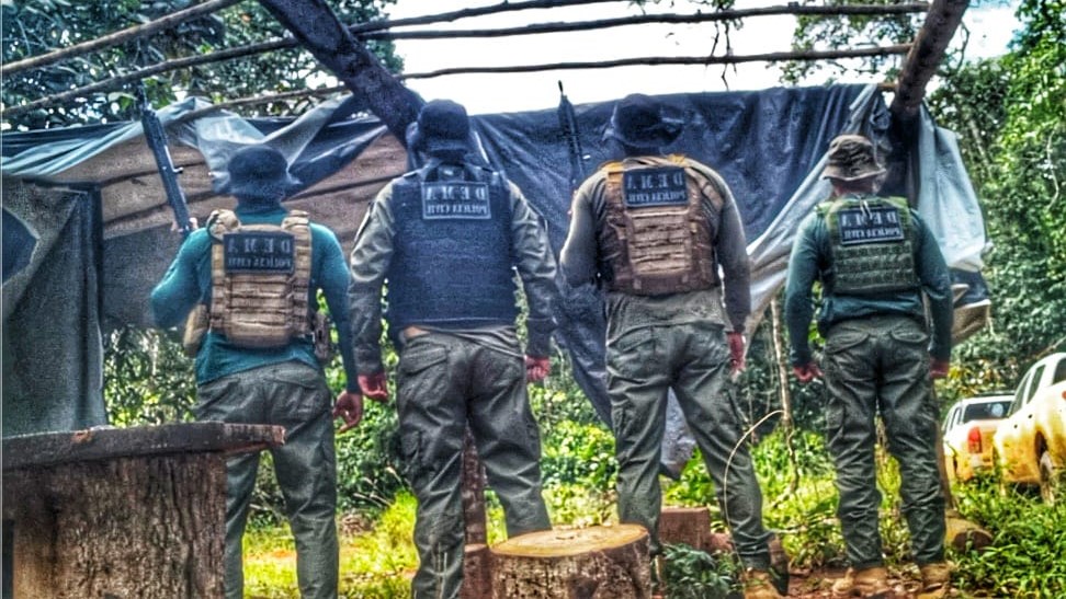 Polícia Civil fecha madeireira em continuidade a operação de combate ao desmate ilegal em Nova Maringá