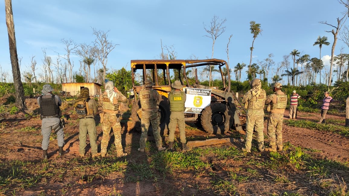 Operação Mata Virgem combate o desmatamento ilegal na região norte de MT