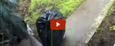 Criminoso se disfarça de saco de lixo e rouba residência nos EUA